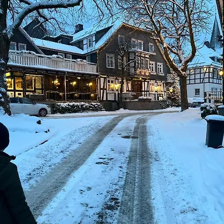 Weitblick Auf Berg, Wald Und Wiese