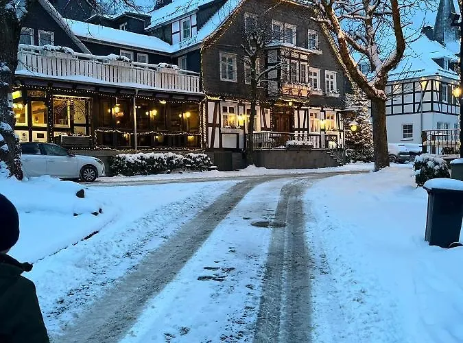 Weitblick Auf Berg, Wald Und Wiese