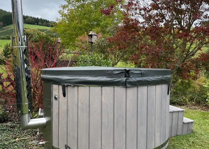 Weitblick Auf Berg, Wald Und Wiese * シュマレンベルク